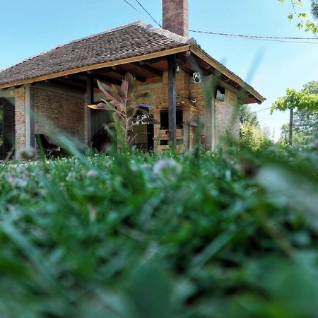 Gajica Konak-Orasac Аранделовац Экстерьер фото