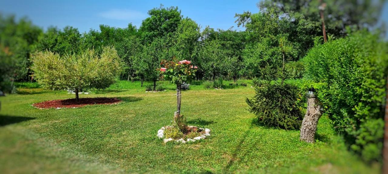 Gajica Konak-Orasac Аранделовац Экстерьер фото